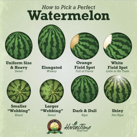 How to pick a perfect watermelon