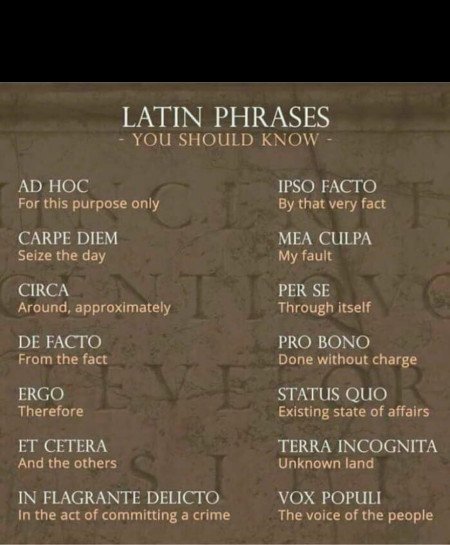 Latin Phrases You Should Know