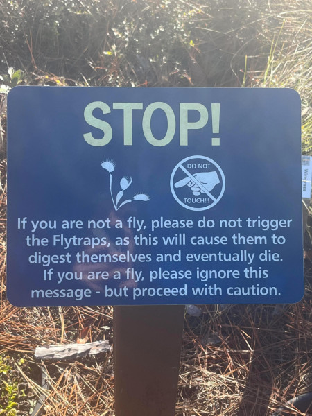 do not trigger flytraps!