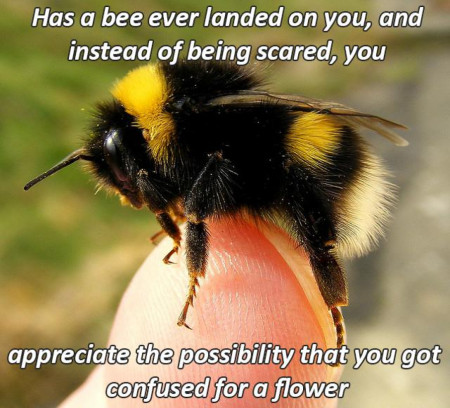 What a BEE