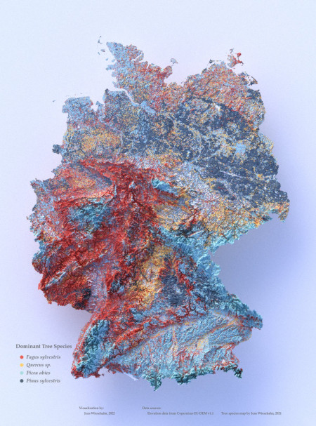 Map of dominant tree species in Germany