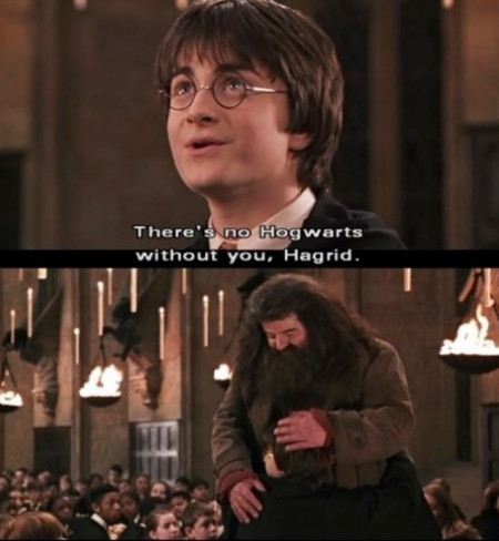 RIP Hagrid