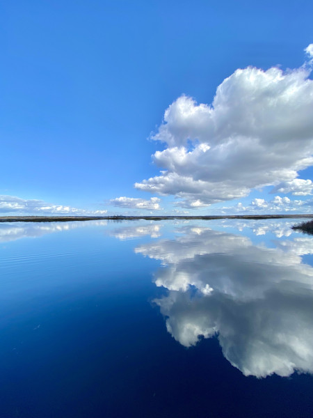 A serene day on the lake