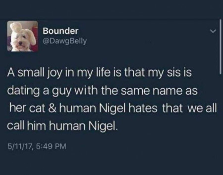 Human Nigel