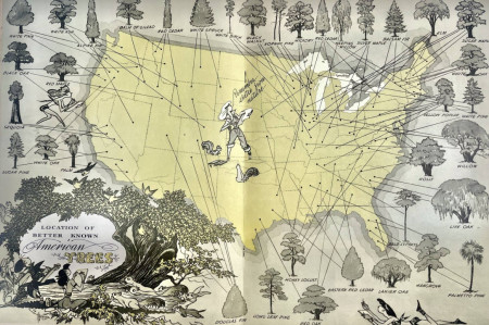 “Location of Better Known Trees” from the book “How to Draw Trees” by Frederick J. Garner