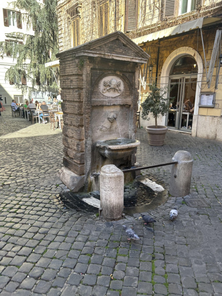 Rome has over 2000 free drinkable water fountains for everyone to use