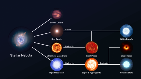 How Different Stars Die