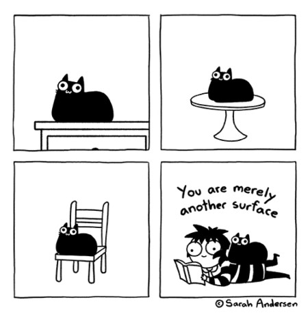 Surface (comic by Sarah Andersen)