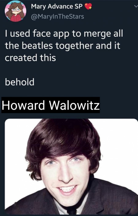 Howard Wolowitz*