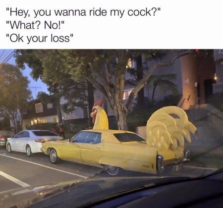 You have a very nice cock, sir