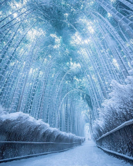 Captures the magic of Kyoto during winter