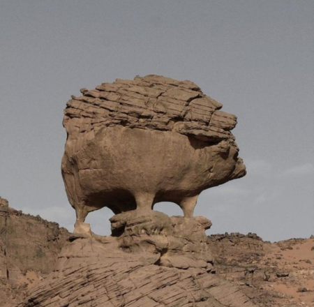 Erosion caused this hedgehog-shaped rock