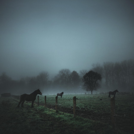 Fog in a small town in Belgium