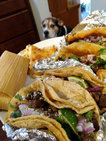 Tacos, tamale, and a quesadilla