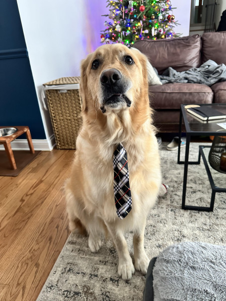 Worried about his first day at work