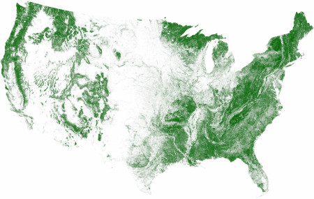 Tree cover of the continental United States