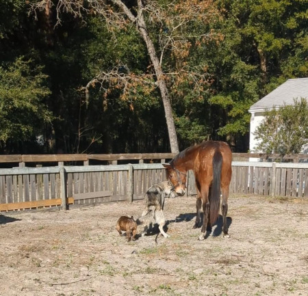 Belmont: *taking a Pee* Toula: &quot;Hai. &quot; Lol