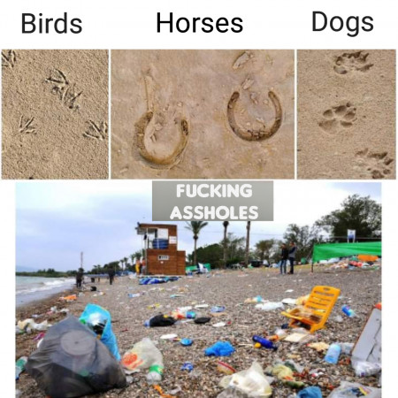 How to recognize an animal according to it&#039;s footprints