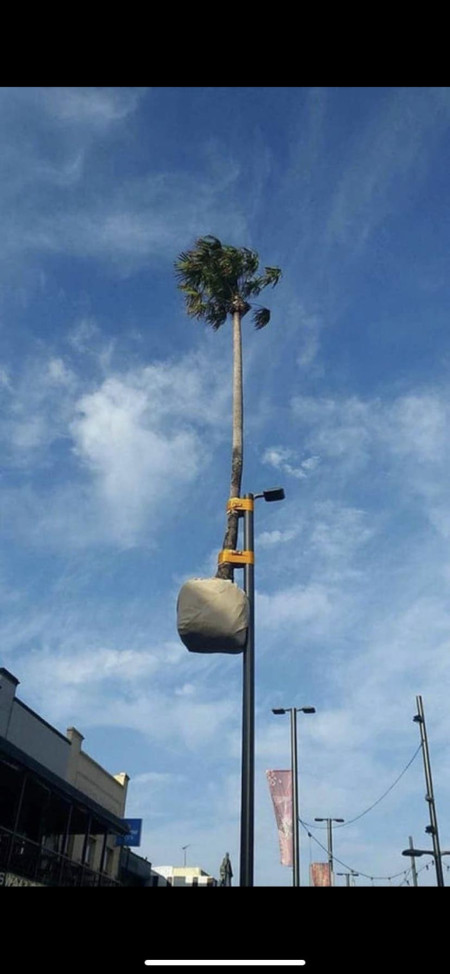 Street light needed some shade