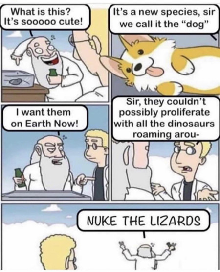 The truth behind what really happened to the dinosaurs