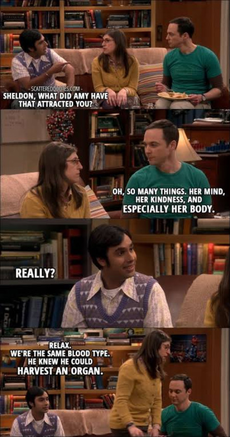 On what attracted Sheldon to Amy