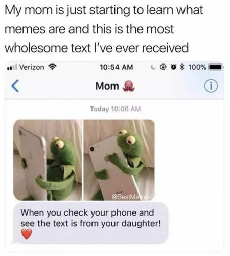 Yo mama is Wholesome