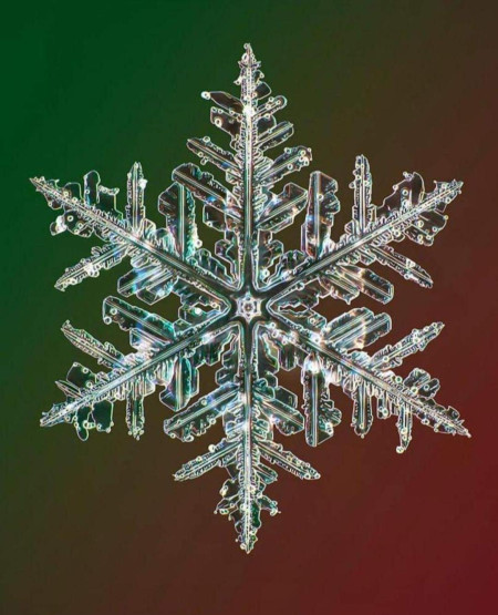 A high resolution photo a snowflake