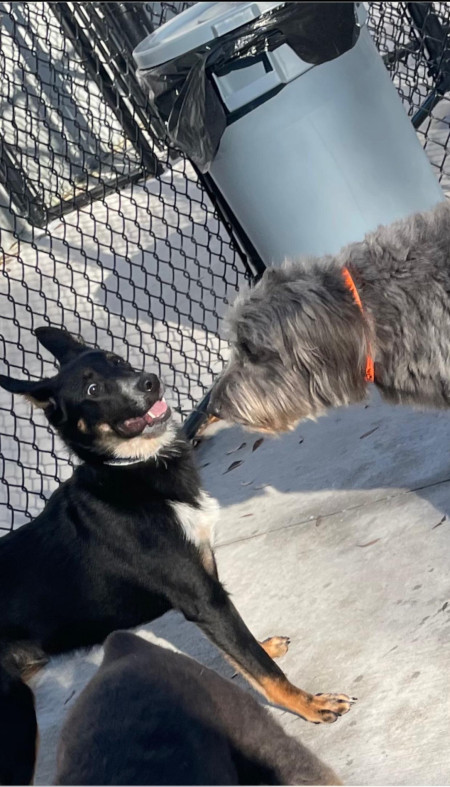 His first moments at daycare