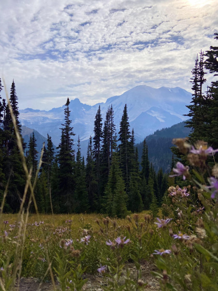 Mt Rainier National Park, Washington