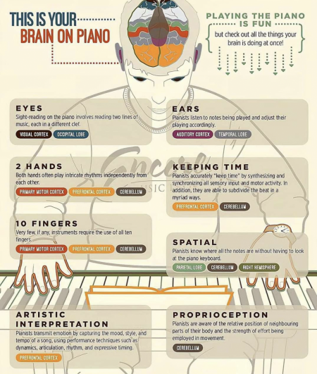 This is your Brain on Piano