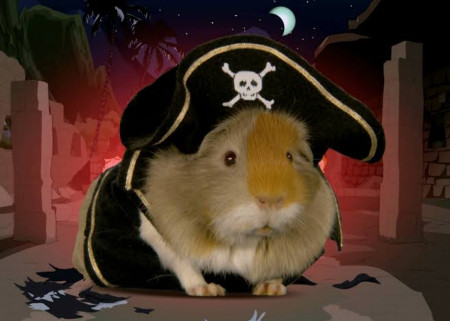 Guinea Pirate!