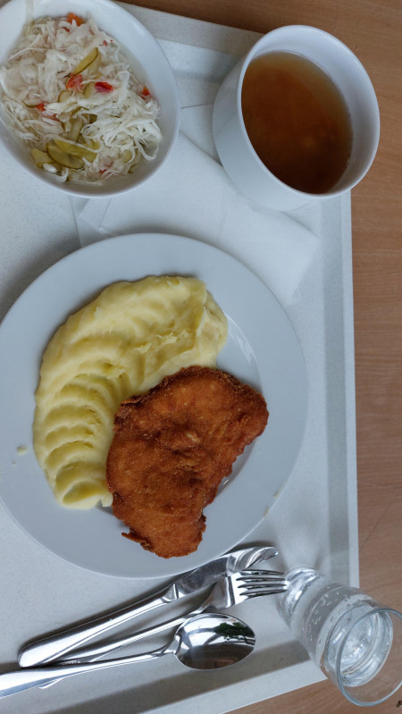 University lunch in Slovakia (3, 9€)