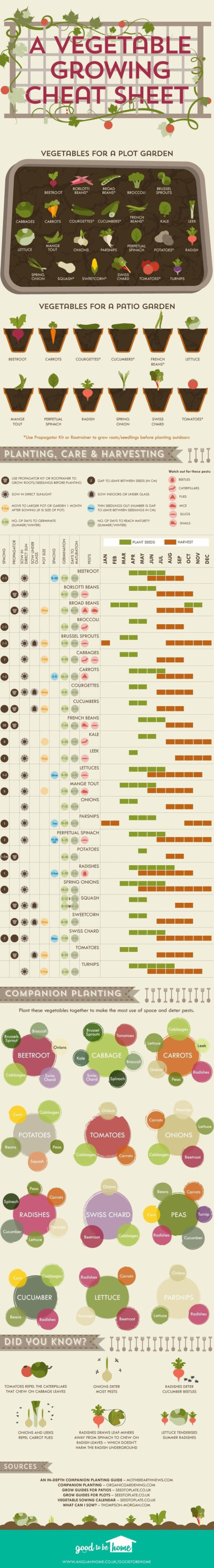 Vegetable growing cheat sheet