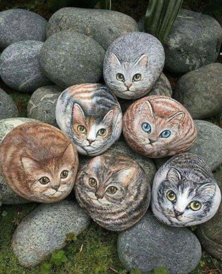 stones with painted cats