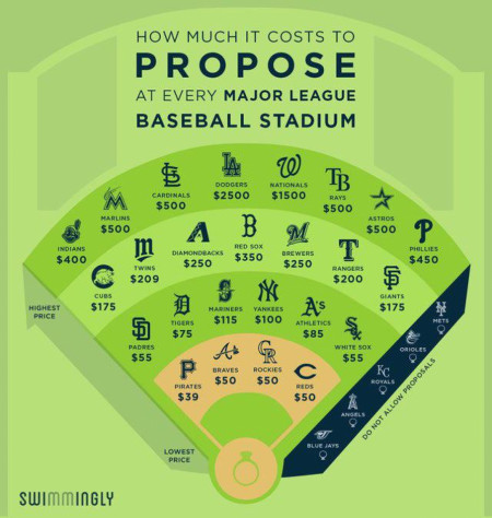 Proposing at a MLB game