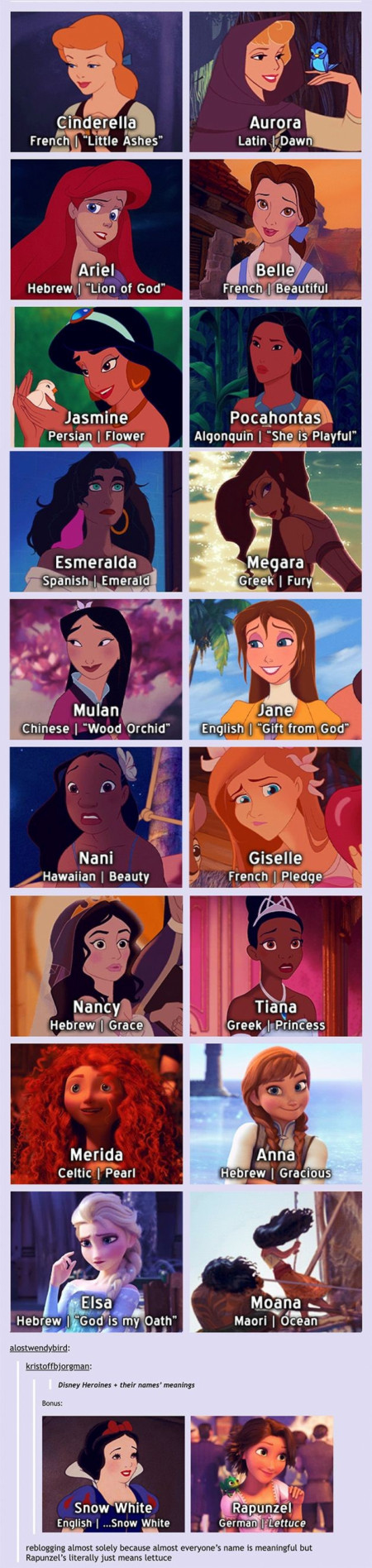 Disney princess names&#039; language and meanings