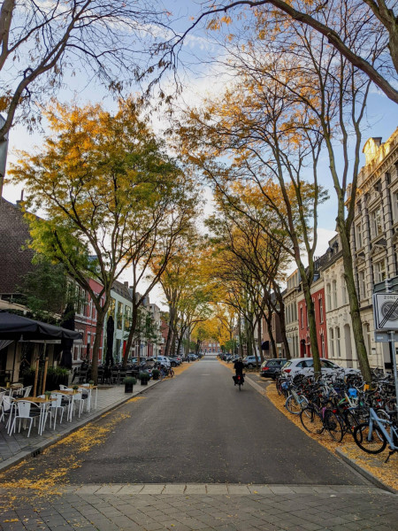 Autumn really is one of the most prettiest seasons (greetings from Maastricht! )