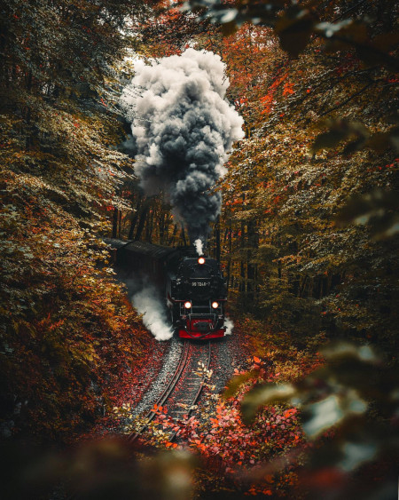 Steam locomotive through the forest, Harz National Park, Lower Saxony and Saxony-Anhalt, Germany