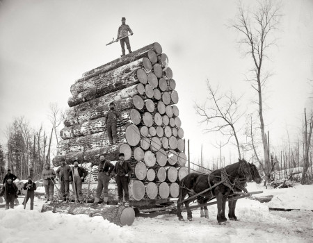 The 1890s, Logging in Michigan
