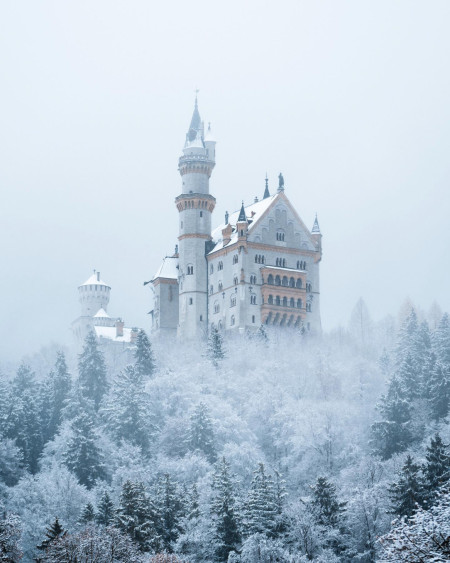 Neuschwanstein Castle towering over the winter forest of Schwangau, Ostallgäu, Bavaria, Germany
