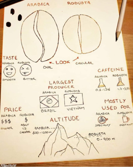 Arabica Vs Robusta!