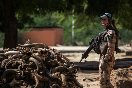 Swedish MINUSMA soldier beside a pile of ivory in Timbuktu, Mali, October 2018