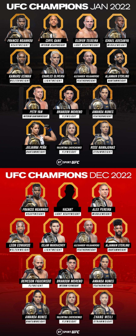 UFC Champions - Start of year vs. End of year