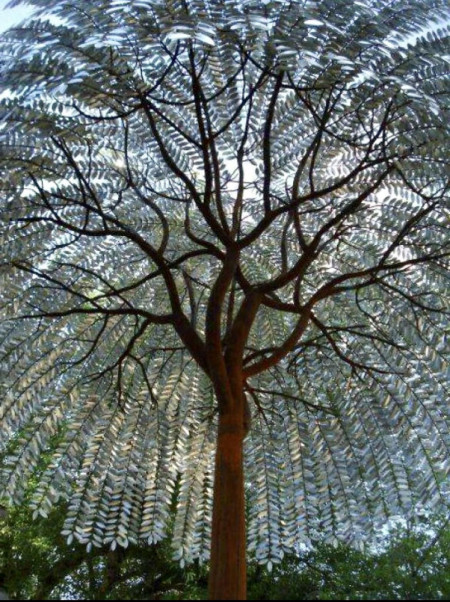 Pattern Formed By Beautifully Aligned Leaves