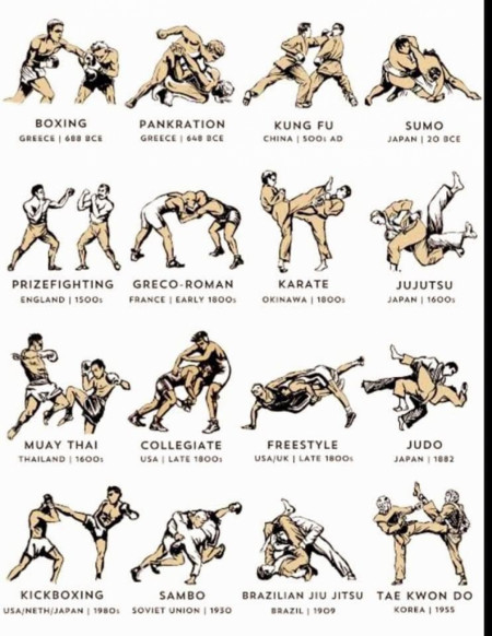 Different kinds of martial arts