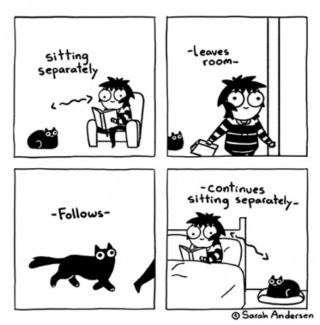 Cat&#039;s distance (comic by Sarah Andersen)