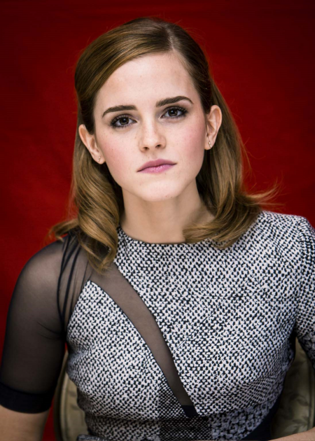 Bling Ring Press Conference, 2013