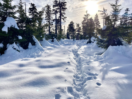 First winter trip this year to the mountain