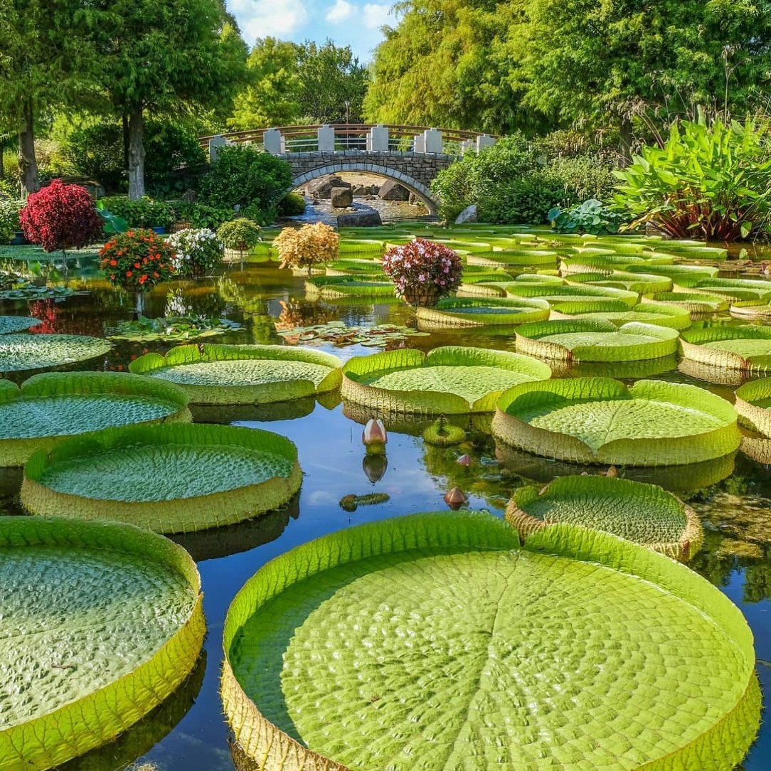 Shiba Park, Japan