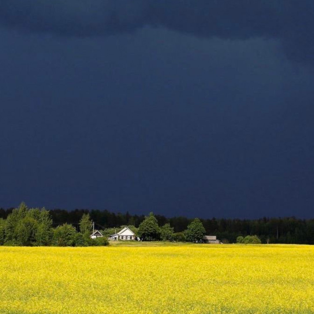 Silence before the storm ⛈️ ⛈️ ⛈️